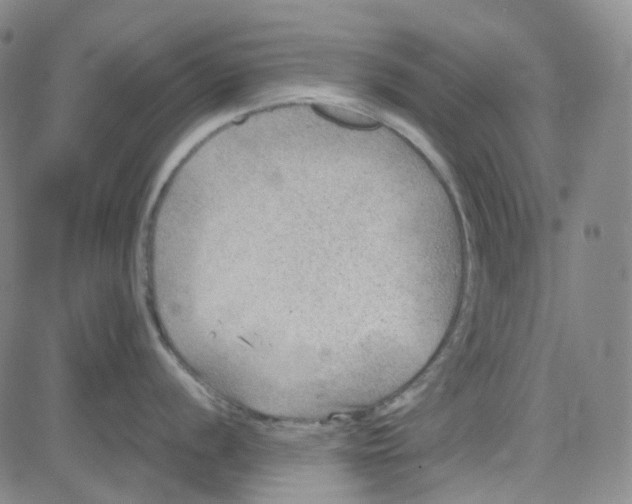 X0000080721056200701051029