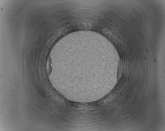 X0000080721057200701051029