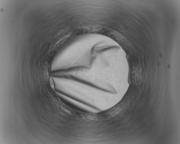 X0000080721058200701051029