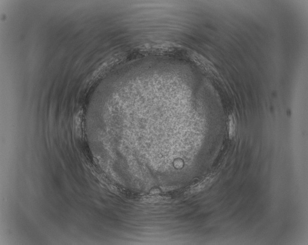 X0000080721059200701051029