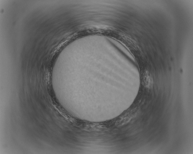 X0000080721061200701051029