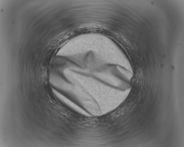 X0000080721062200701051029