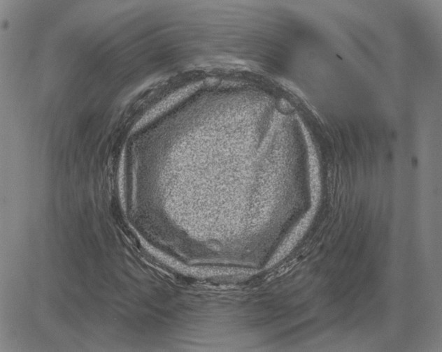 X0000080721063200701051029