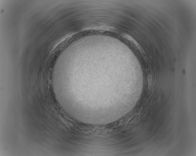 X0000080721064200701051028