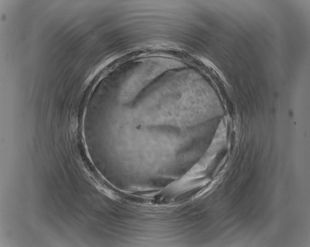 X0000080721065200701051028