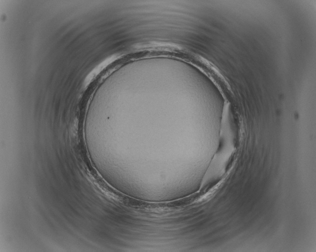 X0000080721066200701051028