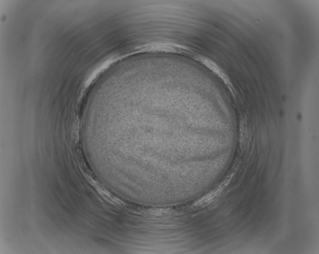 X0000080721067200701051028