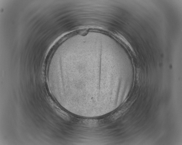 X0000080721068200701051028