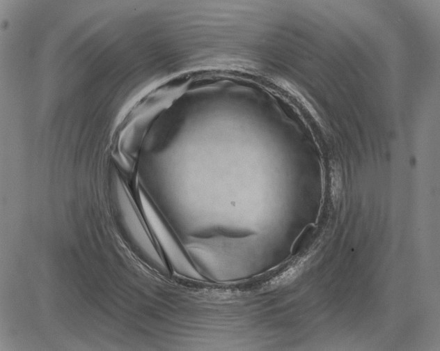 X0000080721069200701051028