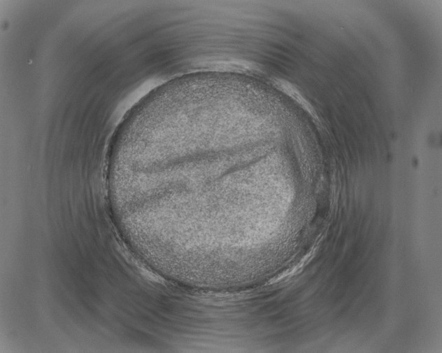 X0000080721071200701051028