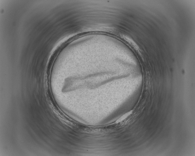 X0000080721072200701051028