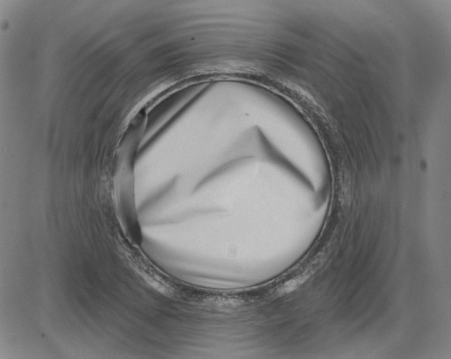 X0000080721073200701051028