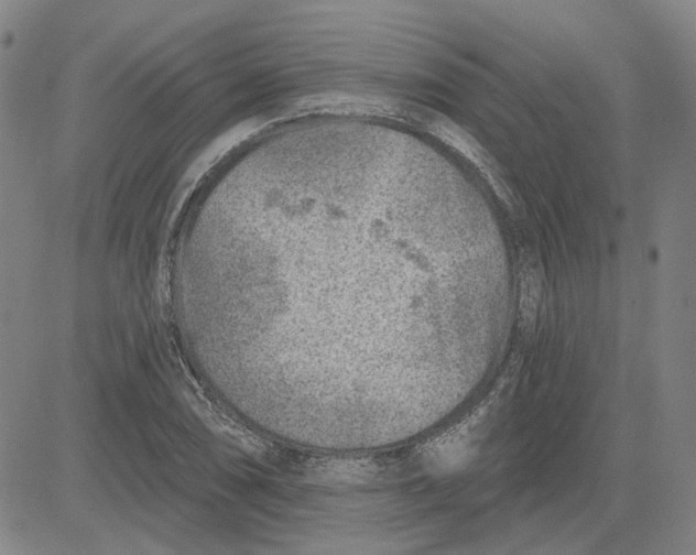 X0000080721074200701051028