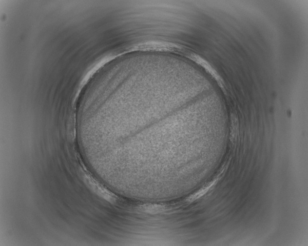 X0000080721075200701051028