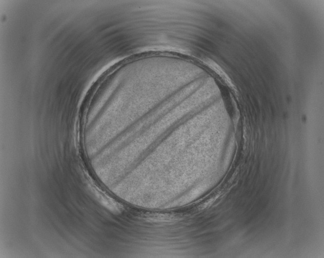 X0000080721076200701051028