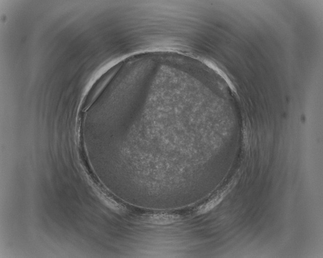 X0000080721077200701051028