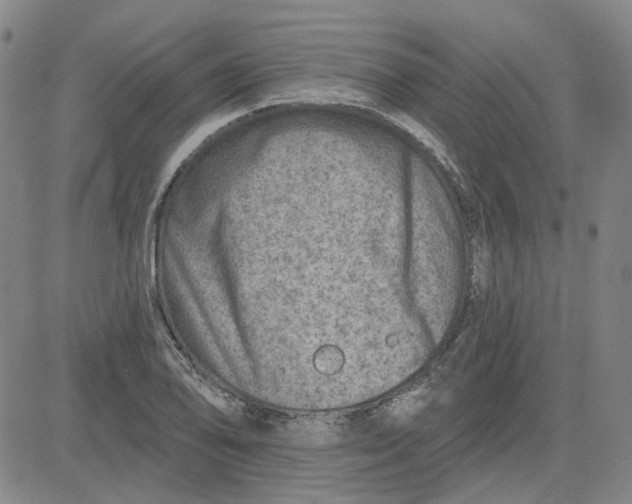 X0000080721078200701051028