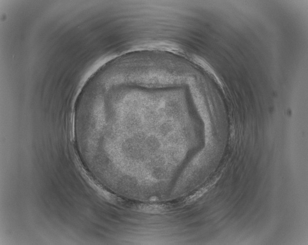 X0000080721079200701051028