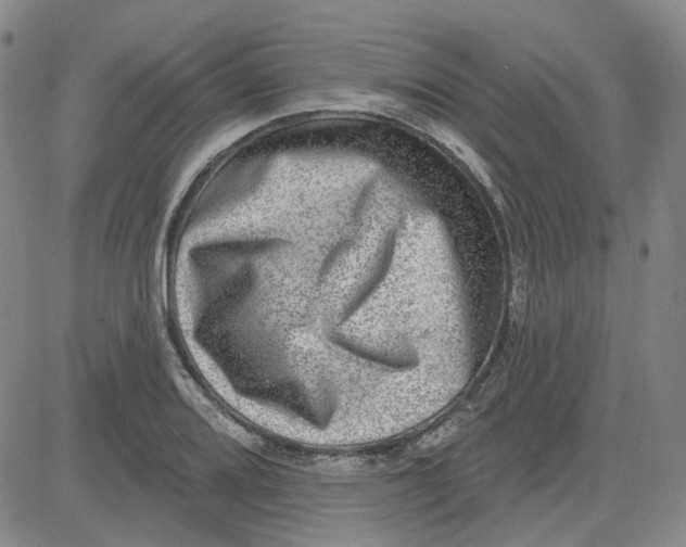 X0000080721080200701051028