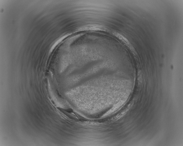 X0000080721081200701051028