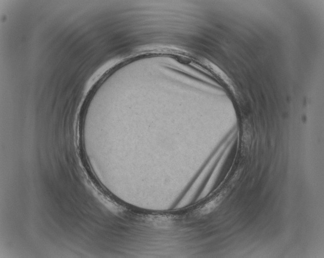 X0000080721082200701051028