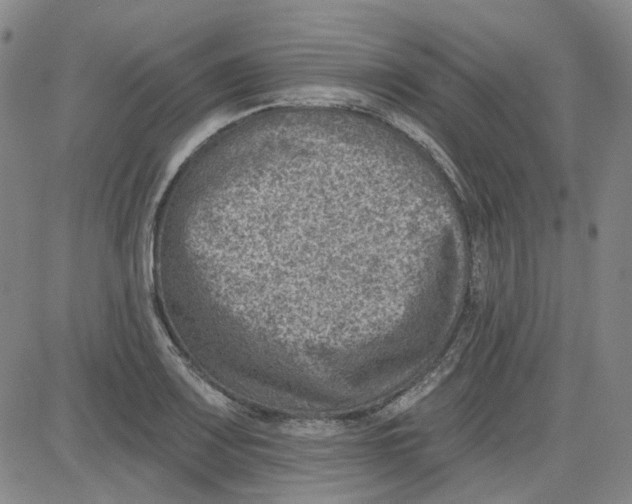 X0000080721083200701051028