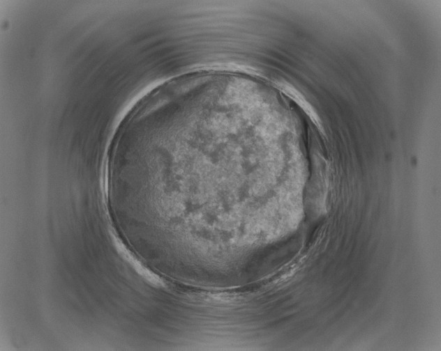 X0000080721084200701051028