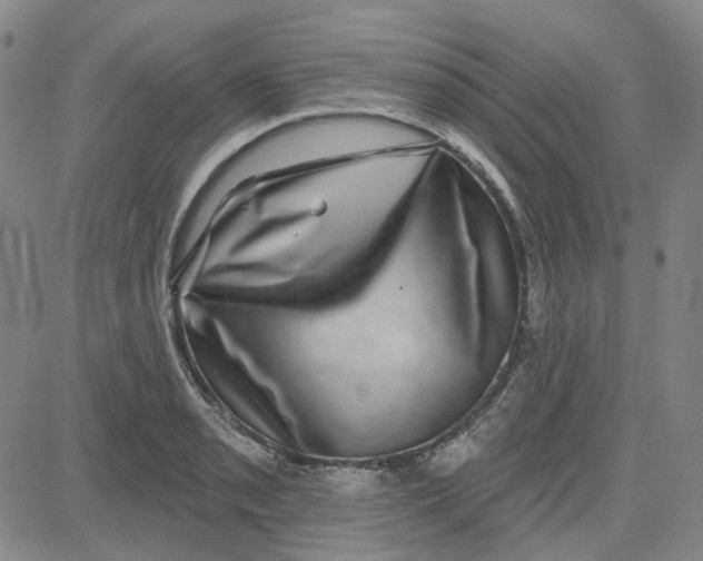 X0000080721085200701051028