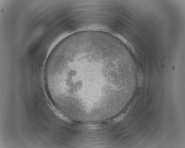 X0000080721086200701051028