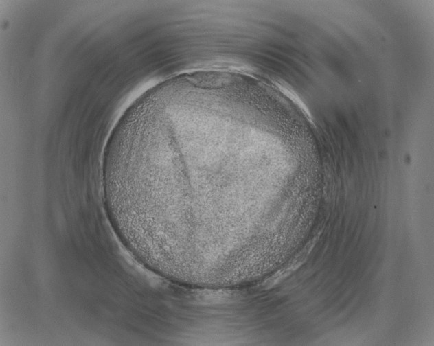 X0000080721087200701051028