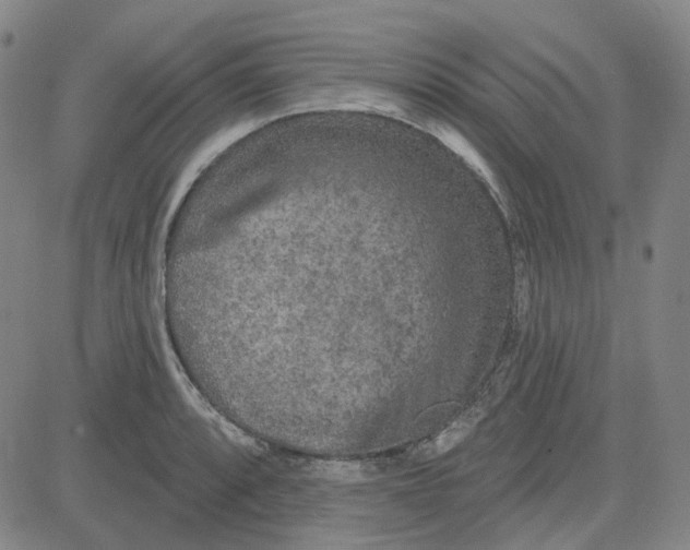 X0000080721088200701051028