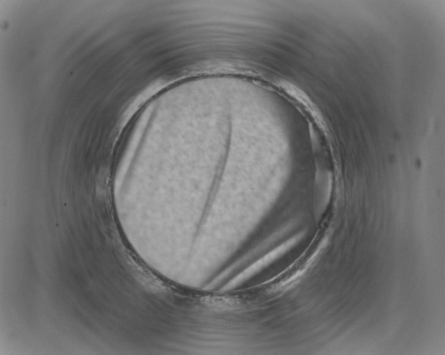 X0000080721089200701051028