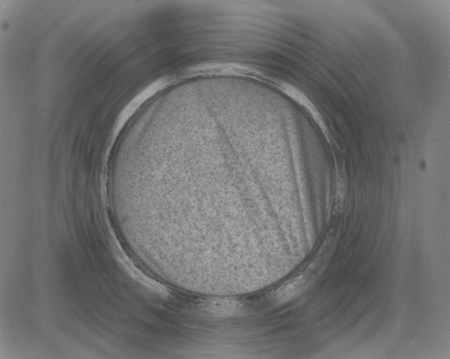 X0000080721090200701051028