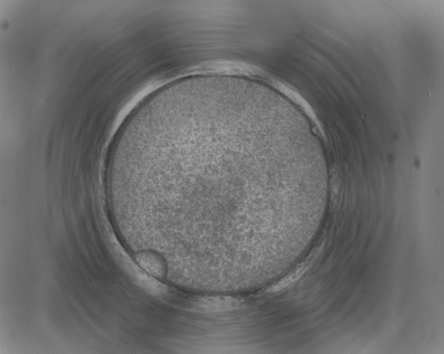 X0000080721091200701051028