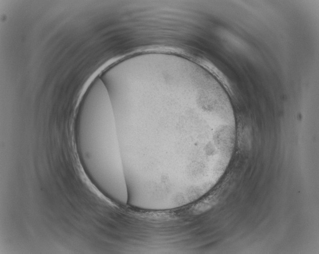 X0000080721092200701051028