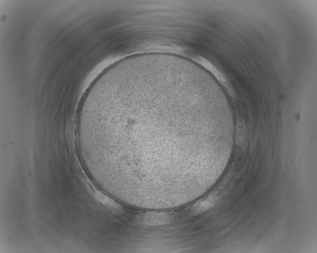 X0000080721094200701051028