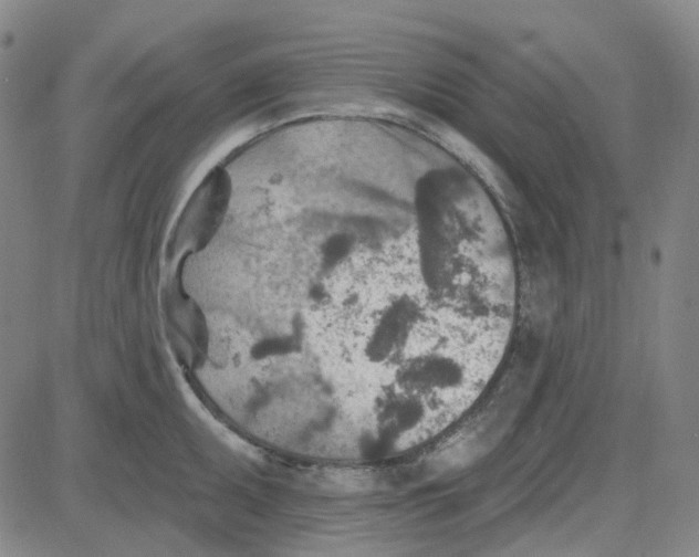 X0000080721095200701051028