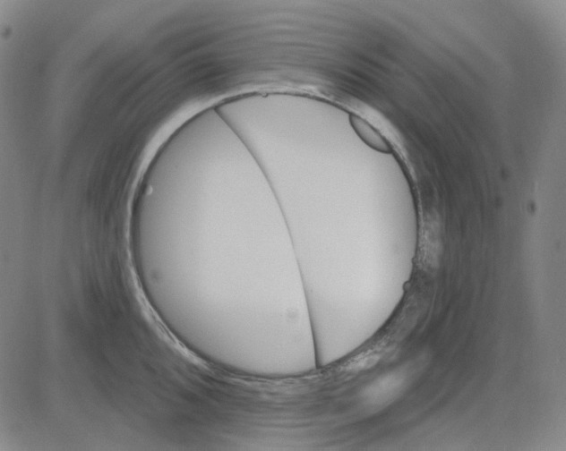 X0000080721096200701051028