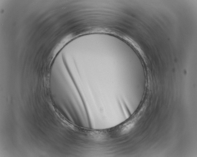 X0000080721097200701051028