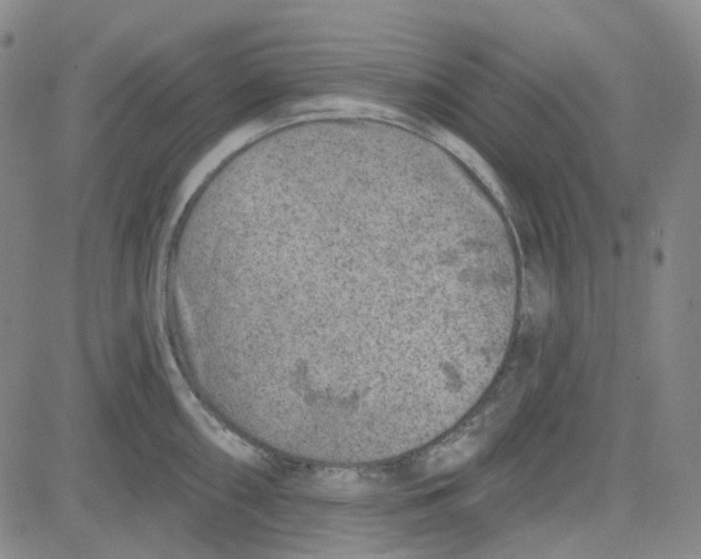 X0000080721098200701051028