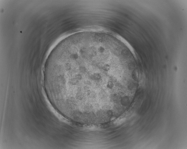 X0000080721099200701051028