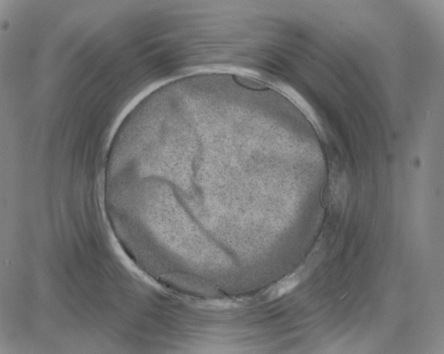 X0000080721100200701051028