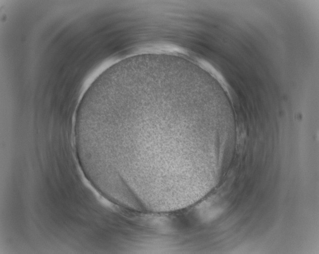 X0000080721103200701051028