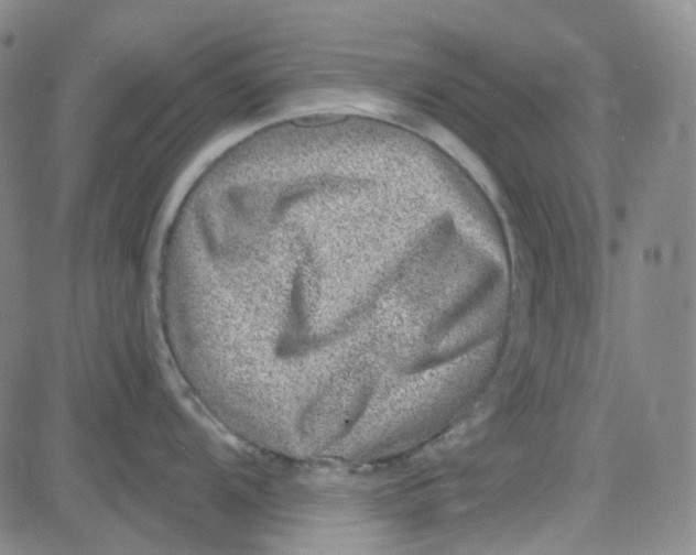 X0000080721104200701051028