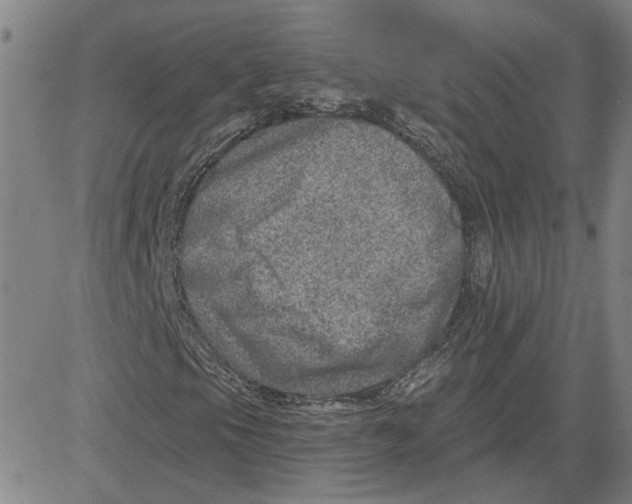 X0000080721105200701051027