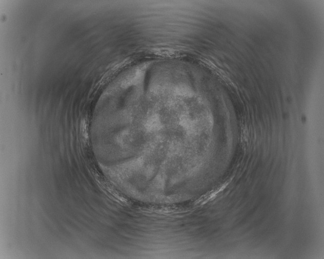 X0000080721106200701051027