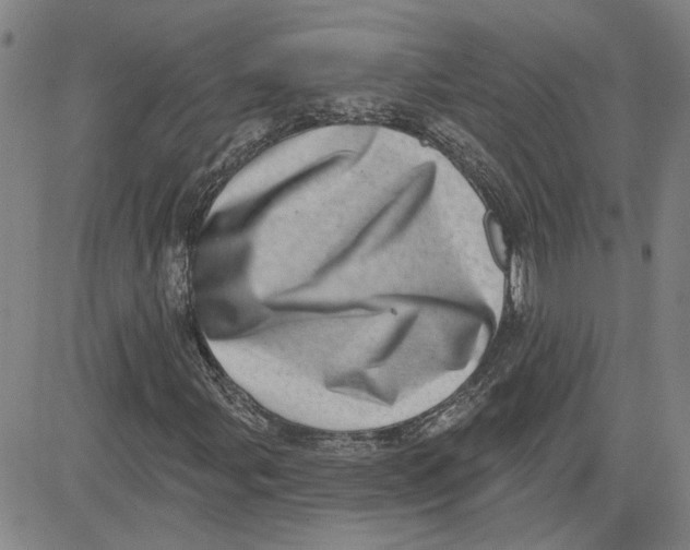 X0000080721107200701051027