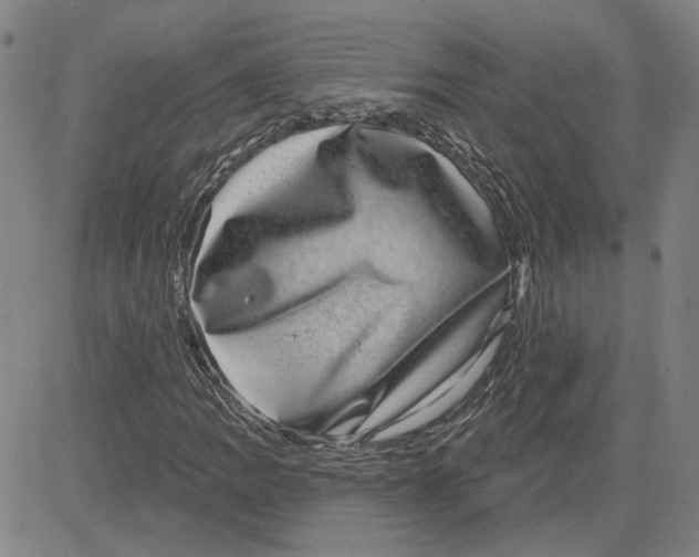 X0000080721109200701051027