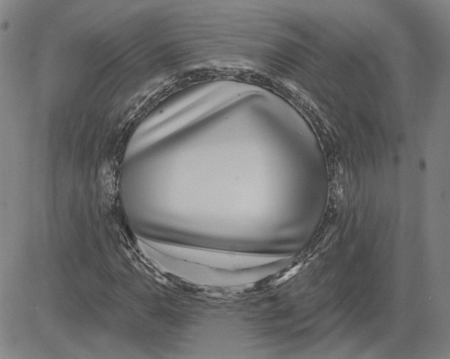 X0000080721110200701051027