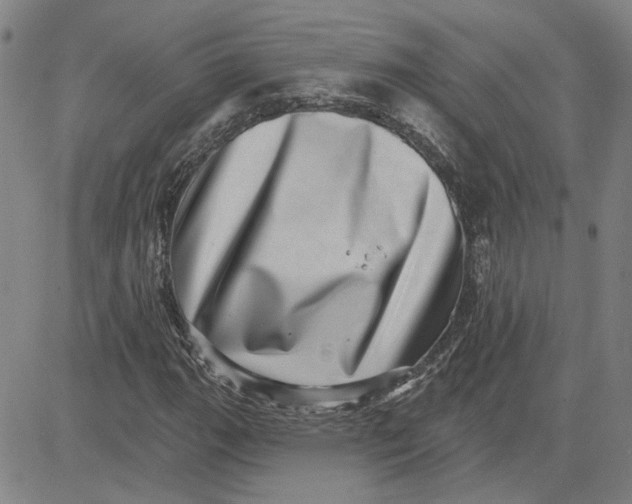 X0000080721111200701051027